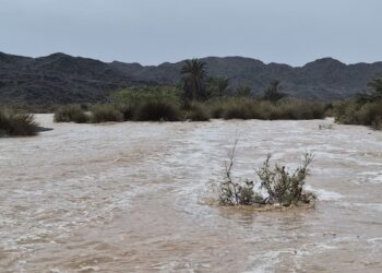 هطول أمطار متفاوتة الغزارة على ولايات جنوب الشرقية