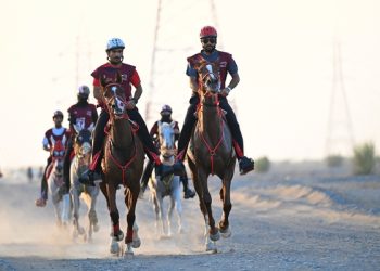 67 خيلًا تتأهل لتصنيف النجمة والنجمتين بمسابقة القدرة والتحمل