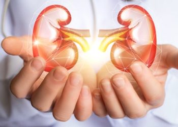 دراسة تكشف عن نظام غذائي قد يحسّن من صحة الكلى