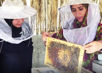 الفاو تعزز شراكتها مع سلطنة عُمان بزيادة قدرها 83% في قيمة المشاريع