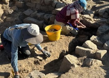 تعود إلى العصر البرونزي.. مكتشفات أثرية جديدة في موقع بات الأثري بالظاهرة