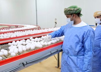 35 مليون ريال عُماني إجمالي قيمة مشاريع الأمن الغذائي بالقطاع الحيواني بالظاهرة