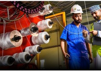 ارتفاع عدد المؤسسات الخاصة النشطة إلى 267734 بنهاية 2024