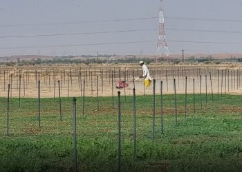 طرح 6 فرص استثمارية بمحافظة البريمي
