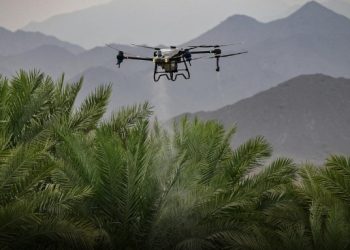 الأسبوع المقبل.. بدء حملة الرش الجوي لحشرة دوباس النخيل