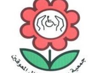 بالأسماء.. “عمومية الأطفال ذوي الإعاقة” تنتخب مجلس إدارة الجمعية 2025-2026