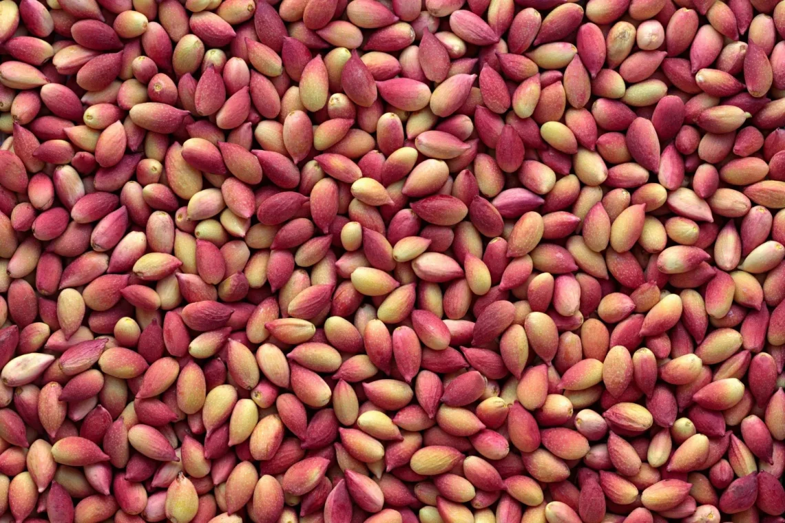 لا تهمل تناول الفستق لأنه مليء بالفوائد الصحية.. وهذه أبرزها