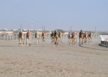 غدا.. انطلاق منافسات مهرجان كأس جلالة السلطان المعظم للهجن