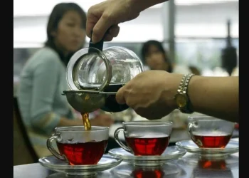 هل تعلم أن تناول الشاي في الصباح قد يكون مضرا بصحتك.. كيف ذلك؟
