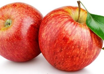 التفاح وصحة الدماغ.. ما العلاقة بينهما؟