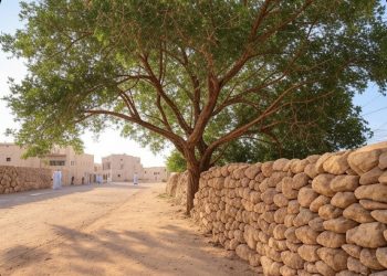 عائشة بنت جمعة الفارسية تكتب: أسوار