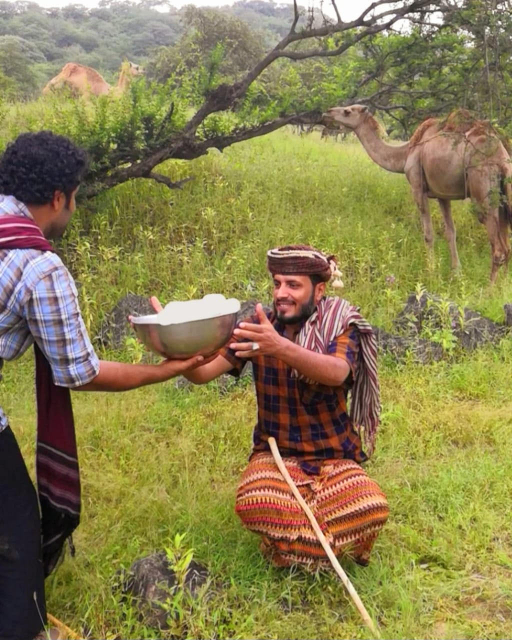 محالبة الإبل في ولاية طاقة: تراث يتجدّد بروح المجتمع