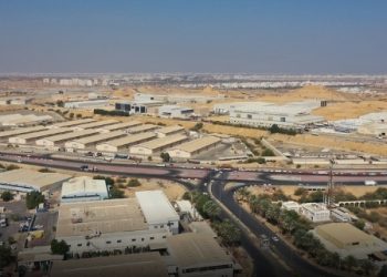 “الرسيل الصناعية” توطّن 17 مشروعًا في عام 2024