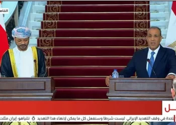 بالفيديو.. أبرز تصريحات وزير الخارجية في مؤتمر صحفي مع نظيره المصري