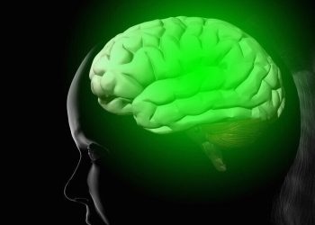 “بقعة زرقاء”.. اكتشاف “زر إعادة ضبط” الذاكرة في الدماغ