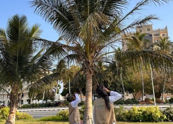 القضاء على أكثر من 161 ألفًا طيور غازية في محافظة ظفار