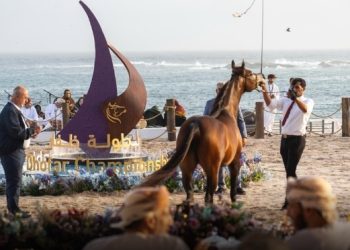 بمشاركة دولية.. غدًا انطلاق فعاليات كأس ظفار الدولي لجمال الخيل العربية بولاية مرباط