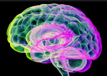 ماذا يحدث للدماغ عند تعلم شيء جديد؟