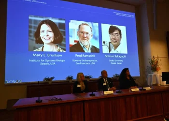 أميركيان وياباني يفوزون بجائزة “نوبل للطب 2025”