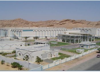 “جهاز الرقابة” يكشف عن تجاوزات الإدارة التنفيذية لـ”الشركة الوطنية للصناعات الدوائية”