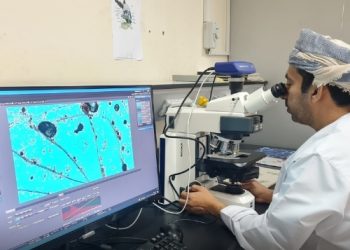21 باحثًا من جامعة نزوى ضمن قائمة ستانفورد لأفضل 2 بالمائة من العلماء على مستوى العالم لعام 2025
