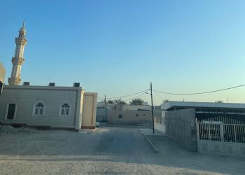 بدر بن سالم العبري يكتب: شناص عُمان وشناص جنوب إيران