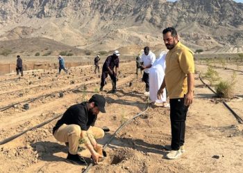استزراع 2000 شتلة ضمن المبادرة الوطنية لزراعة عشرة ملايين شجرة بمحضة