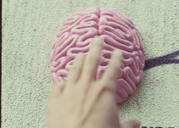 “تعفّن الدماغ” خطر جديد في عصر السوشيال ميديا… حين يتحول المحتوى السريع إلى تهديد عقلي