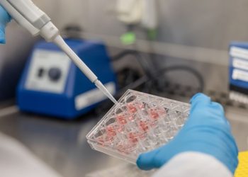 علماء يطوّرون مجسات نانوية دقيقة للكشف المبكر عن السرطان