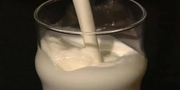 أطعمة تحتوي على كالسيوم أكثر من كوب الحليب