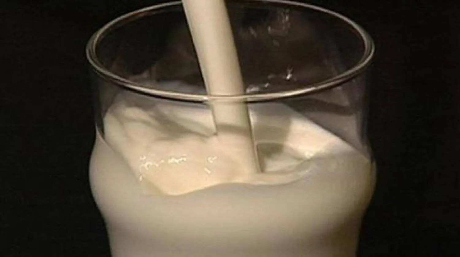 أطعمة تحتوي على كالسيوم أكثر من كوب الحليب