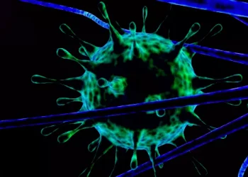 ثمار تحمي الجسم من الالتهابات المزمنة