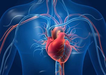 أخطاء ليلية شائعة تضر بصحة القلب