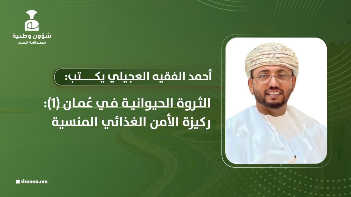 الثروة الحيوانية في عُمان: ركيزة الأمن الغذائي المنسية (1)