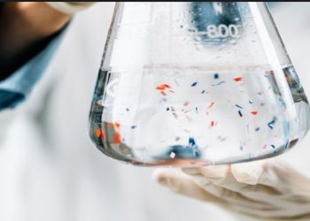 البلاستيك يهدد الصحة عالميا.. وخطره يتضاعف في 2040