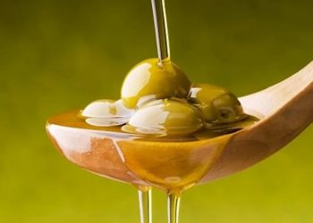 الزيتون وصحة القلب.. ماذا يحدث عند تناوله بانتظام؟