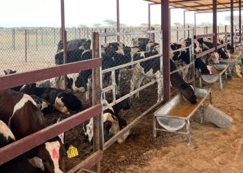 طرح 6 فرص استثمارية لمشاريع زراعية وحيوانية بالبريمي