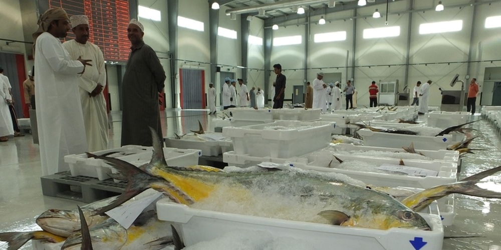 إجماليُّ قيمة الأسماك المنزّلة في سلطنة عُمان يتجاوز 570 مليون ريال عُماني 