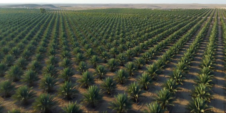 1.9 مليار ريال عُماني إجمالي الاستثمارات المنفذة بقطاعات الأمن الغذائي خلال الخطة الخمسية العاشرة