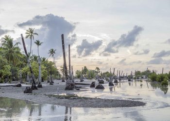 تؤثر على درجات الحرارة.. توقّعٌ عالميٌّ لعودة ظاهرة الـ”نينيو” منتصف العام الجاري