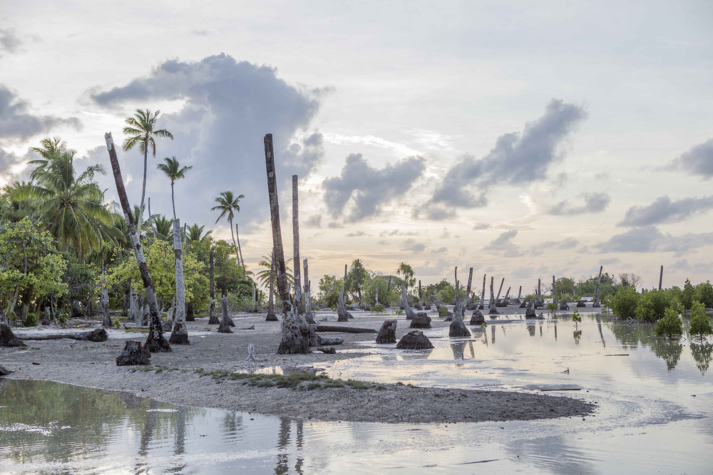 تؤثر على درجات الحرارة.. توقّعٌ عالميٌّ لعودة ظاهرة الـ”نينيو” منتصف العام الجاري