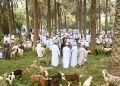 توضيح رسمي بشأن توفر المواشي بالأسواق المحلية وارتفاع الأسعار