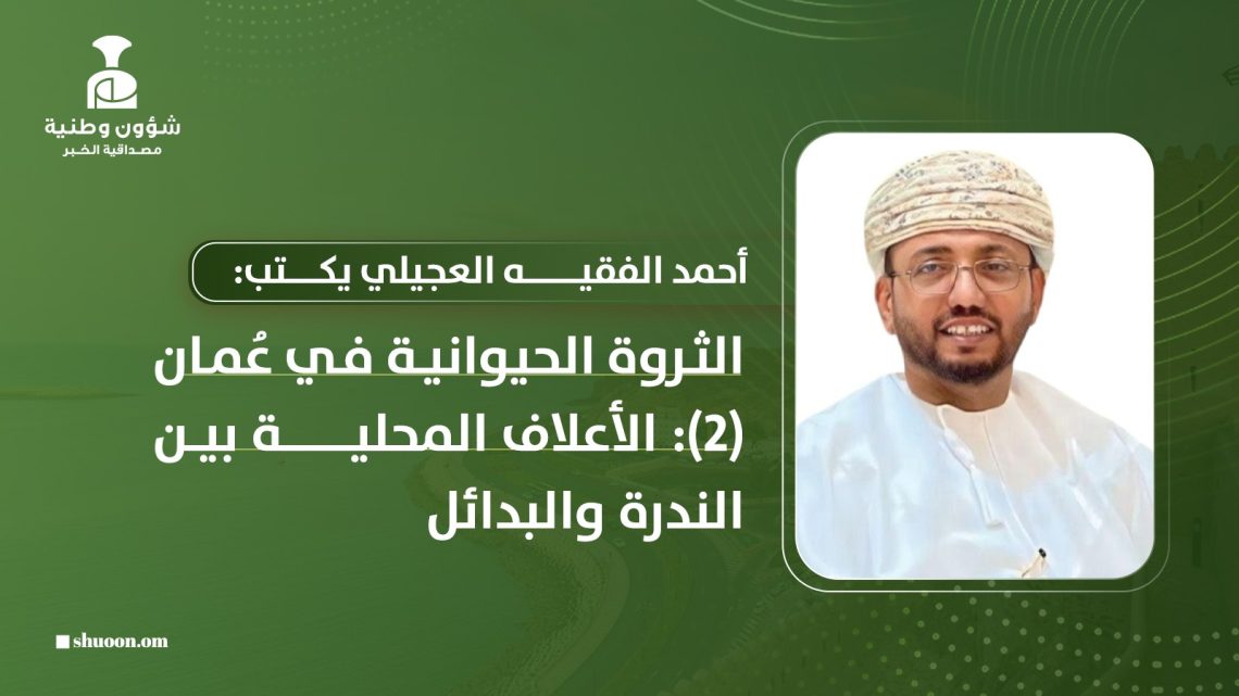 أحمد الفقيه العجيلي يكتب: الثروة الحيوانية في عُمان (2): الأعلاف المحلية بين الندرة والبدائل