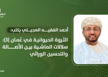 الثروة الحيوانية في عُمان (3): سلالات الماشية بين الأصالة والتحسين الوراثي