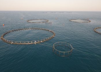 349 مليون ريال إجماليُّ الاستثمارات لقطاع الاستزراع السمكي في سلطنة عُمان