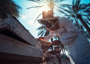 158 ألف كيلوجرام إجمالي إنتاج العسل المحلّي بشمال الباطنة العام الماضي