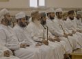 “غصن الزيتون القرائية”.. حراك قرائي يعزز المهارات المعرفية عبر الابتكار الرقمي