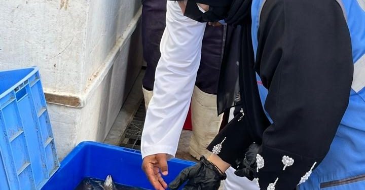 إتلاف قرابة نصف طن من الأسماك الفاسدة بسوق عبري