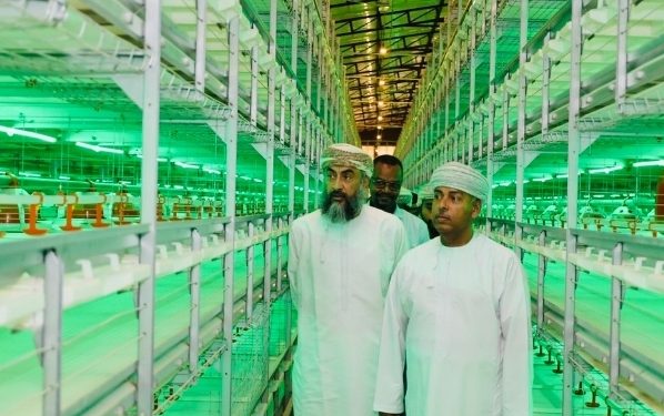 طرح 153 فرصة استثمارية لمحافظة البريمي حتى منتصف 2026