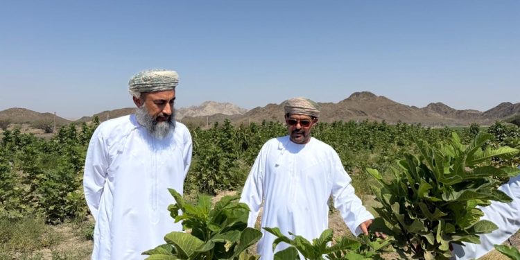 دعماً للاقتصاد المحلي.. تنفيذ أول مشروع تكاملي لأشجار الفاكهة في محضة